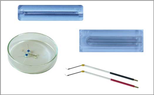 Electrode4ElectroFusion